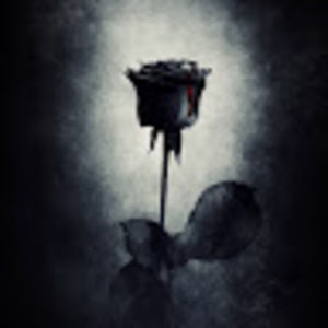 Meet your Posher, Mei